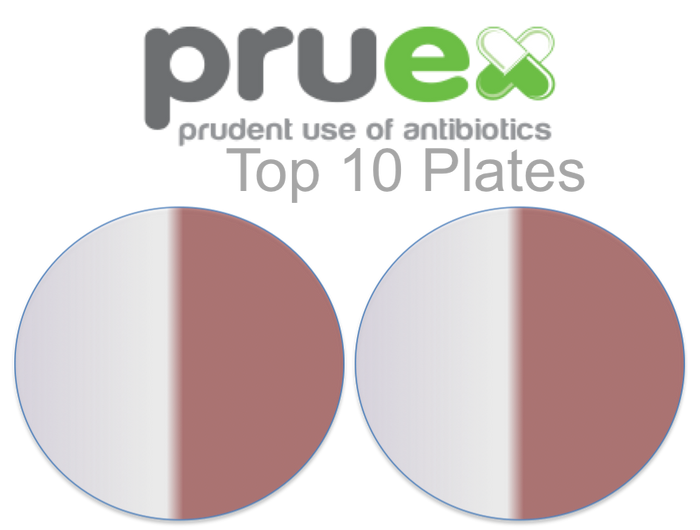 1.0 Top Ten Plates (10 cows)