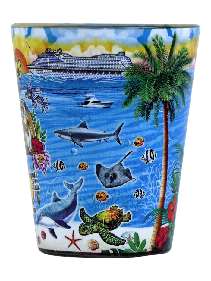 Barbados Scene In and Out Shot Glass