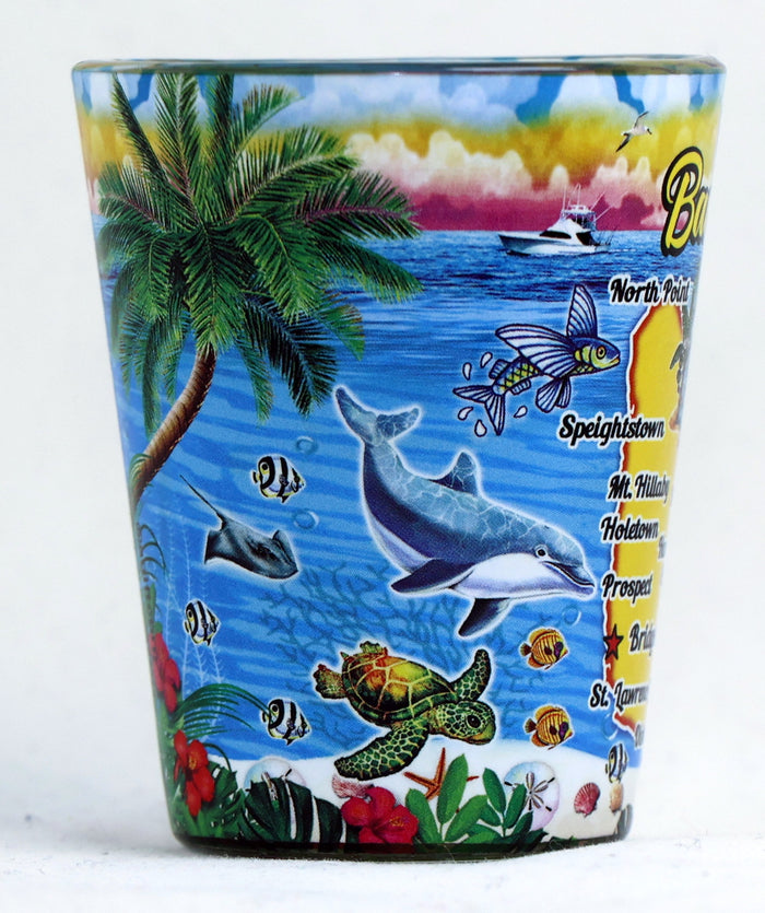 Barbados Scene In and Out Shot Glass