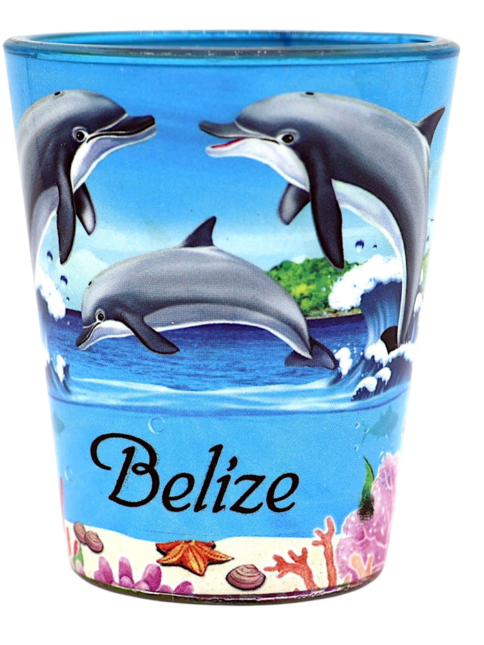 Belize Dolphins and Reef In and Out Shot Glass