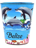 Belize Dolphins and Reef In and Out Shot Glass