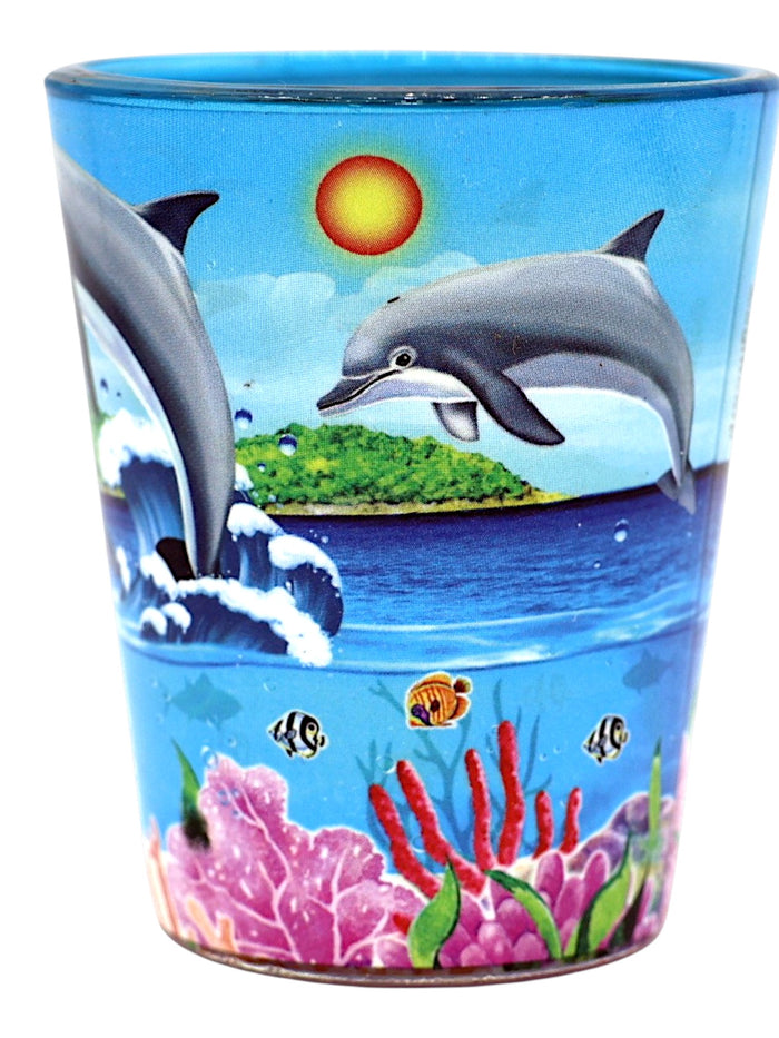Belize Dolphins and Reef In and Out Shot Glass