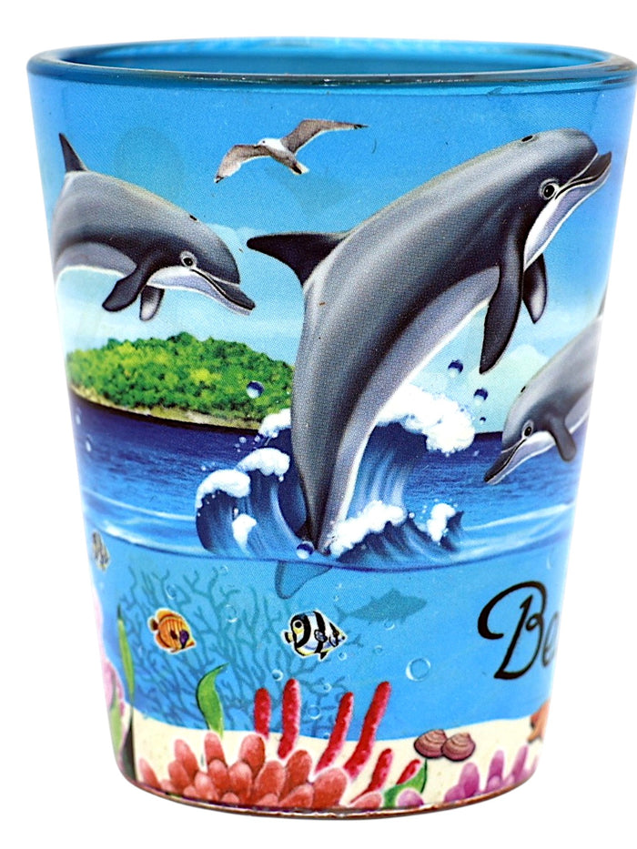 Belize Dolphins and Reef In and Out Shot Glass