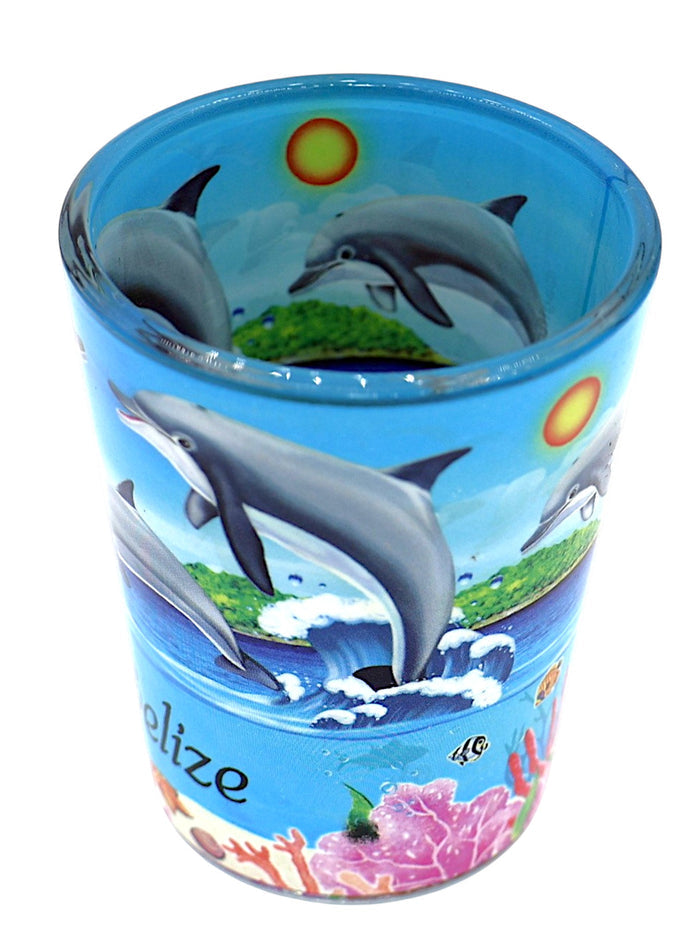 Belize Dolphins and Reef In and Out Shot Glass