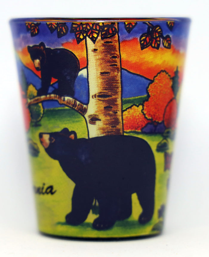 California Bear In & Out Collectible shot glass