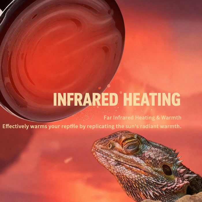 Ceramic Heater with Visual Indicator Light
