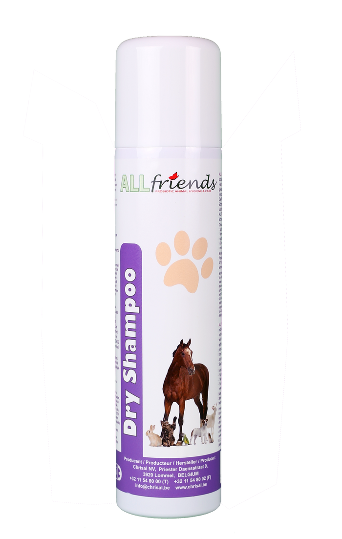Dry Shampoo 200ml OC5