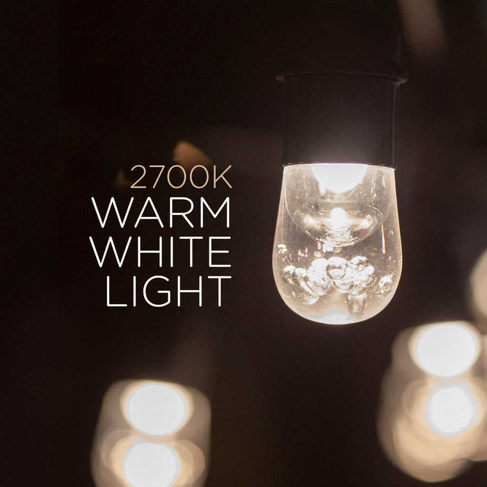 Enbrighten Classic LED Cafe Lights, 48ft | 31664