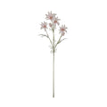Flannel Flower Stem / Pink