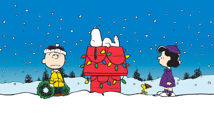 Holiday Helpers | 2-Car Peanuts® Garage Door Cover