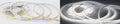 Product Display Visual of the SKU: LBL-COB-384-24V-10MM-30K-IP65 for Marketing of theLotus COB LED Tape 24V 3W/ft 16ft 10mm IP65 | LBL-COB-384-24V-10MM-IP65