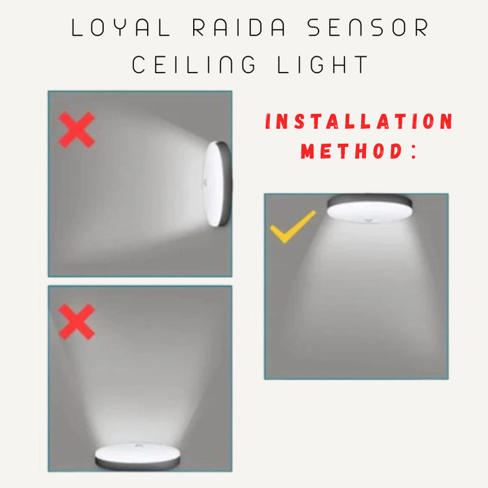 Loyal Raida Sensor Ceiling Light