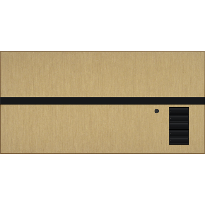 Lutron GRAFIK Eye QS Metal Faceplate Kit - Architectural Finish | QSGFP