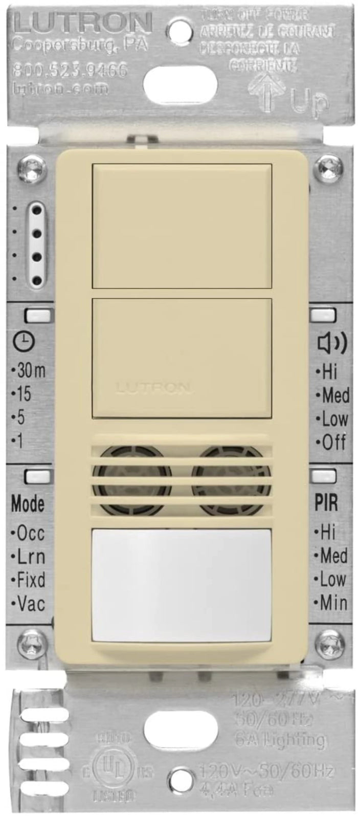 Ivory