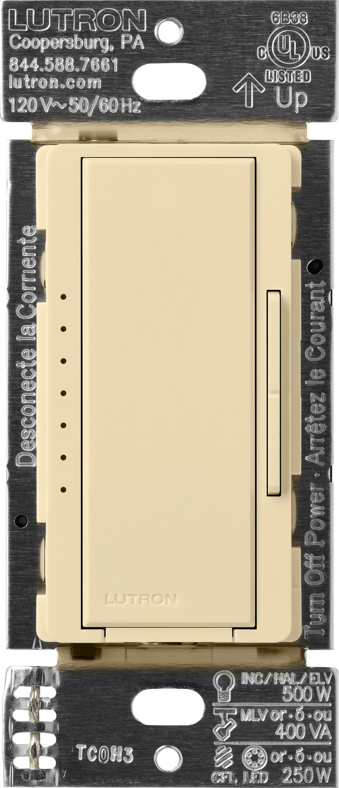 Ivory