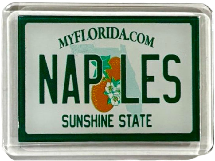 Naples Florida License Plate Acrylic Small Fridge Collector's Souvenir Magnet 2.35" X 1.75"