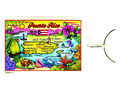 Puerto Rico Map Acrylic Rectangular Souvenir Keychain 2.5" X 1.5"