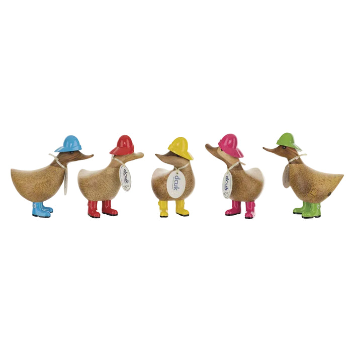 Raincoat Ducky