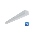 Product Display Visual of the SKU: RENO-LSN4-DV-MW-MCCT-MS for Marketing of theReno 4FT Linear Strip with Integrated Microwave Sensor 

Selectable Wattage 22/28/36/44W | Selectable CCT 3500/4000/5000K | 120-347V | Up to 173lm/W |  Factory Default Setting: Dim to 30% after 5 minutes **Must purchase a remote to configure sensor settings** | RENO-LSN4-DV-MW-MCCT-MS