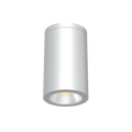 Reno 6" Ceiling Mount Cylinder Downlight