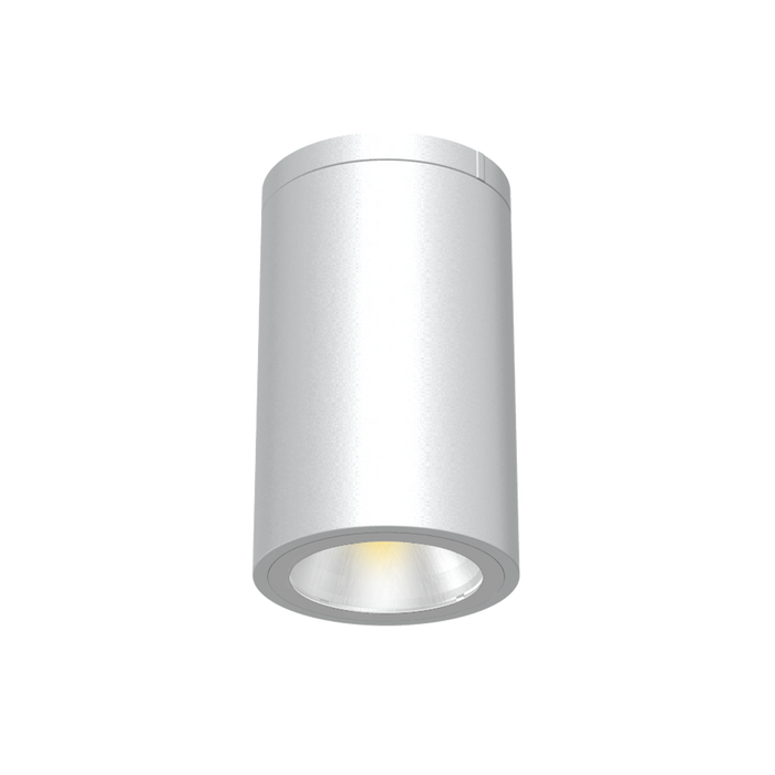 Reno 6" Ceiling Mount Cylinder Downlight