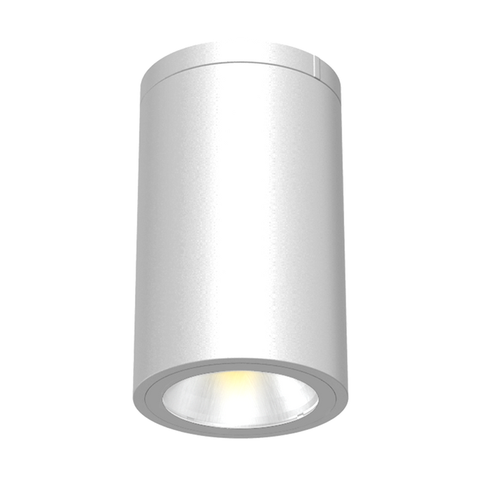 Reno 6" Ceiling Mount Cylinder Downlight