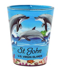 St. John US Virgin Islands Dolphins and Reef In and Out Shot Glass