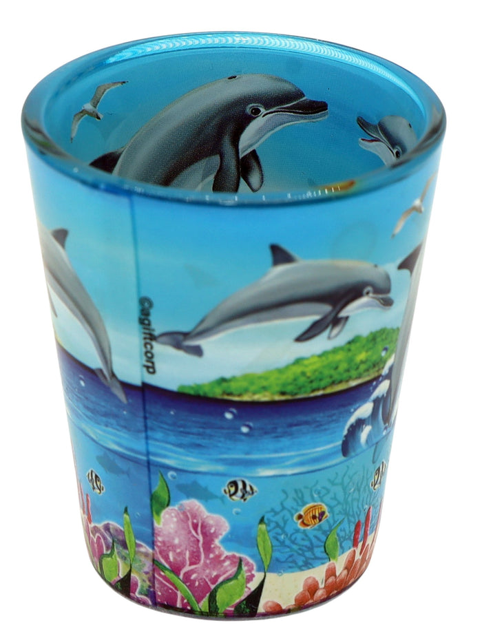 St. John US Virgin Islands Dolphins and Reef In and Out Shot Glass