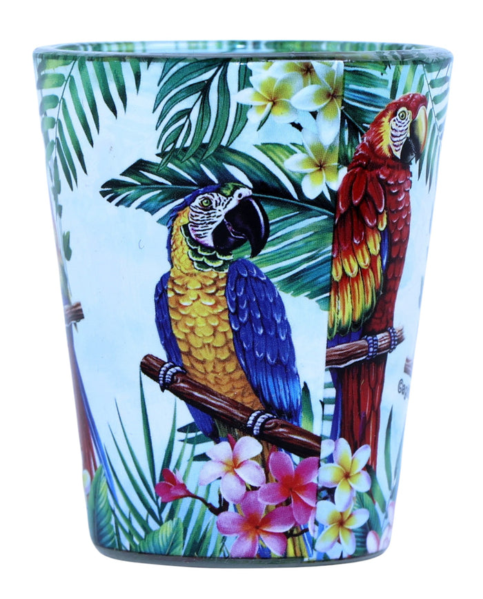 Tortola British Virgin Islands Parrot In and Out Shot Glass