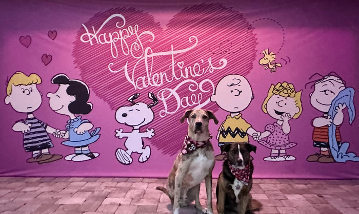 Unrequited Valentine | 2-Car Peanuts® Garage Door Cover